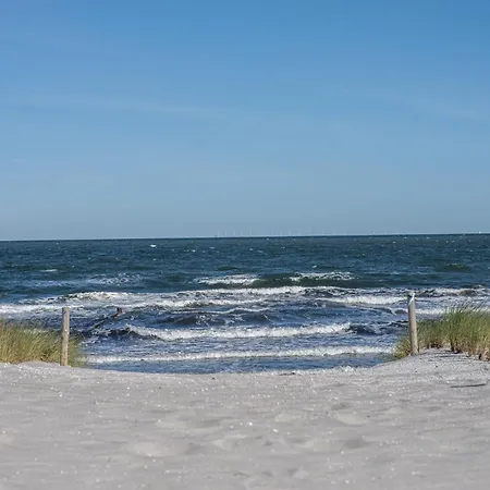 Seewiese Daire Dierhagen